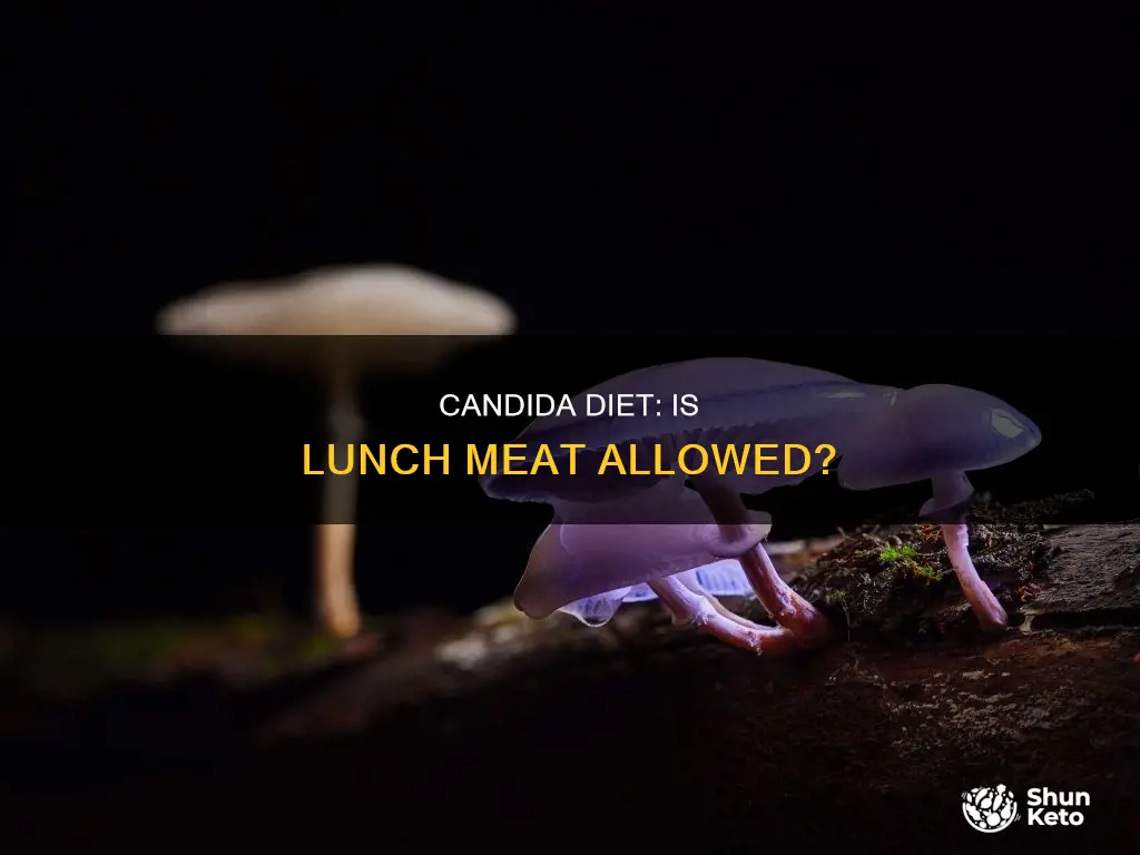 is lunch meat allowed on the candita diet