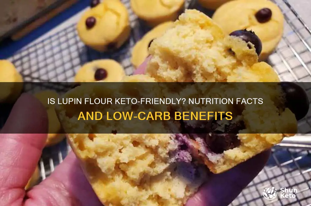 is lupin flour keto