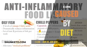 Lupus and Diet: Is There a Connection?