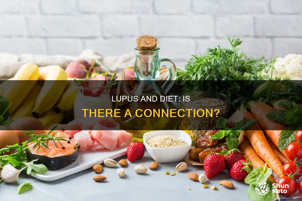 is lupus caused by diet