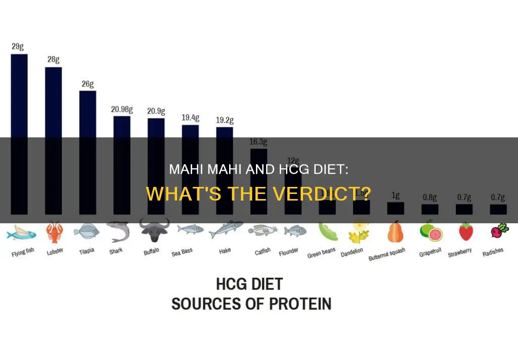 is mahi mahi allowed on hcg diet