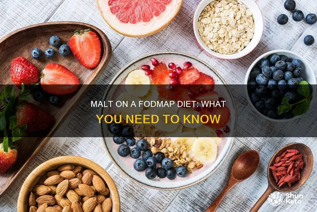 is malt allowed on fodmap diet