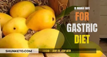 Mangoes and Gastric Issues: Safe or Not?