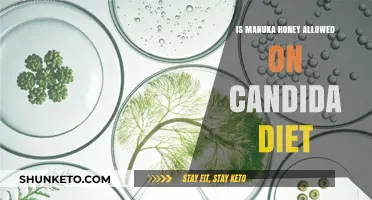 Manuka Honey and Candida Diet: Is It Safe?