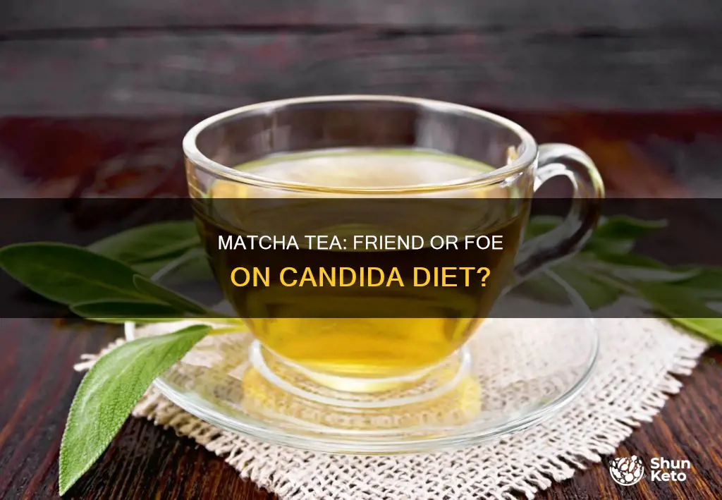 is matcha tea ok on candida diet