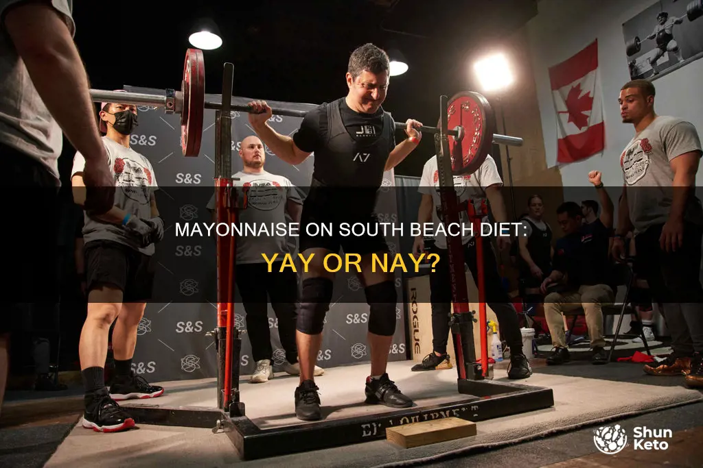 is mayonnaise ok on south beach diet