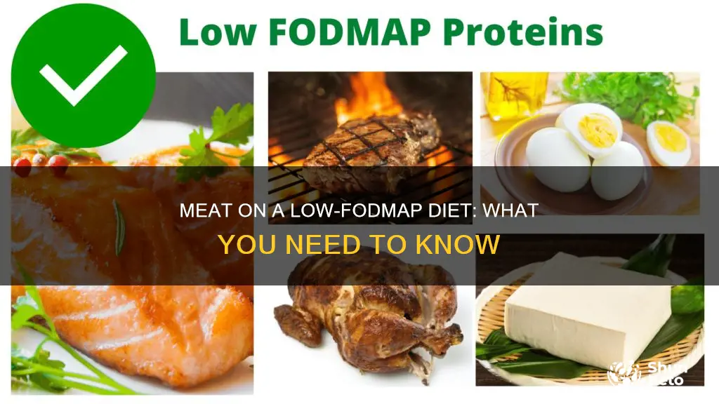 is meat allowed on fodmap diet