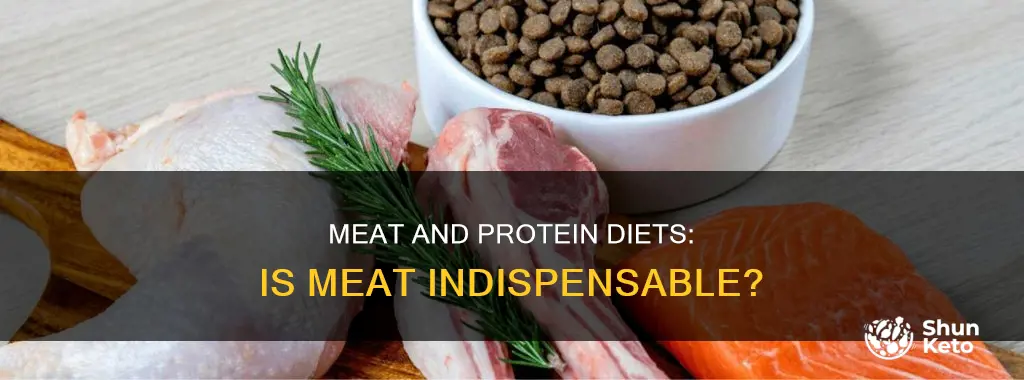 is meat important in protein diet