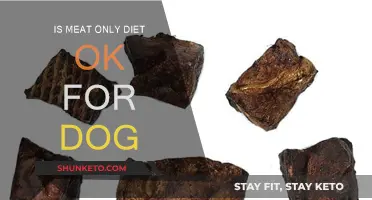 Meat-Only Diet: Healthy or Harmful for Dogs?