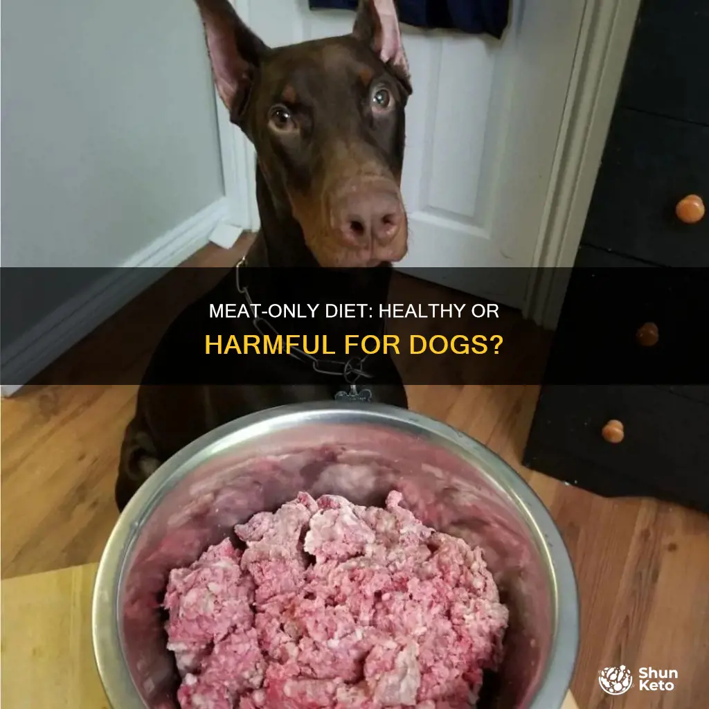 is meat only diet ok for dog
