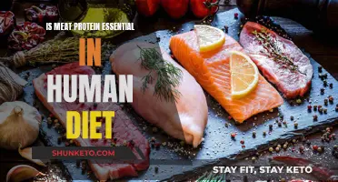 Meat Protein: Essential or Not?