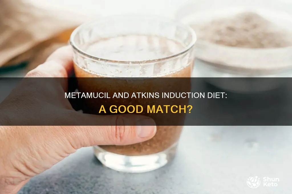 is metamucil acceptable on the atkins induction diet