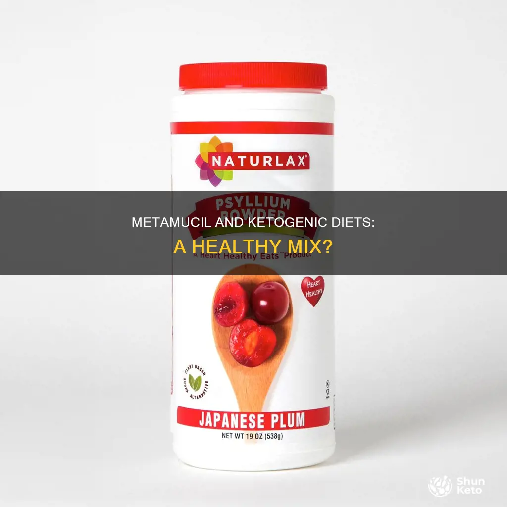 is metamucil ok for ketogenic diet