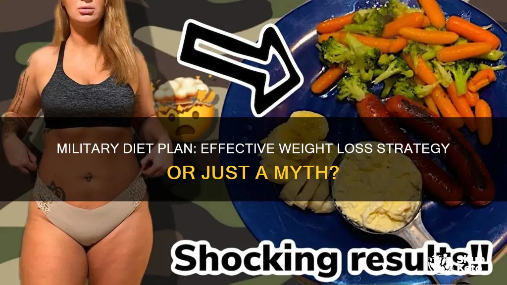 is military diet plan effective