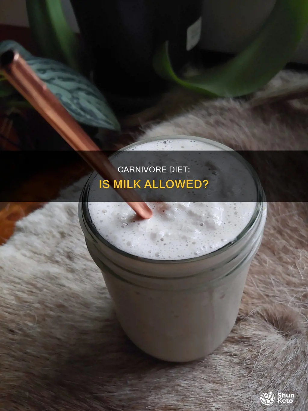is milk allowed on carnivore diet