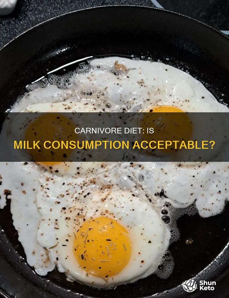 is milk ok on carnivore diet