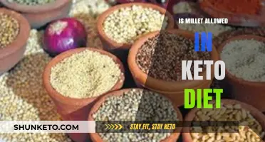 Can You Eat Millet on Keto? A Low-Carb Diet Guide