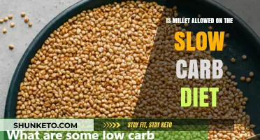 Millet on Slow Carb Diet: Friend or Foe?