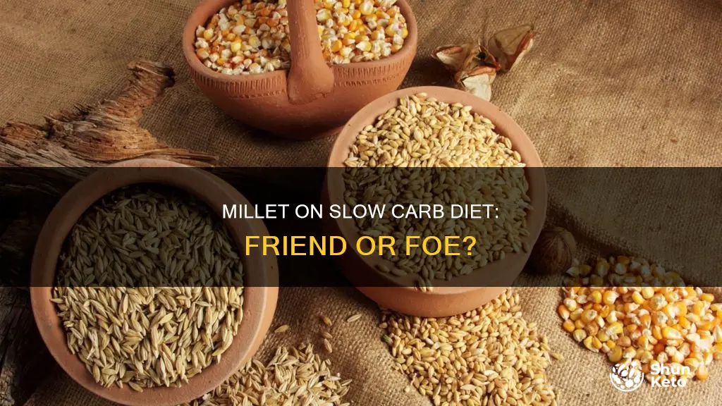 is millet allowed on the slow carb diet
