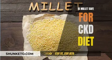 Millet and CKD Diets: A Safe Bet?