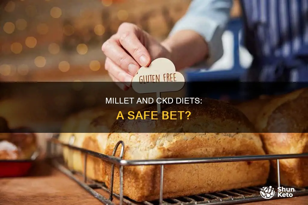 is millet safe for ckd diet