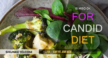 Miso and Candida Diet: What You Need to Know