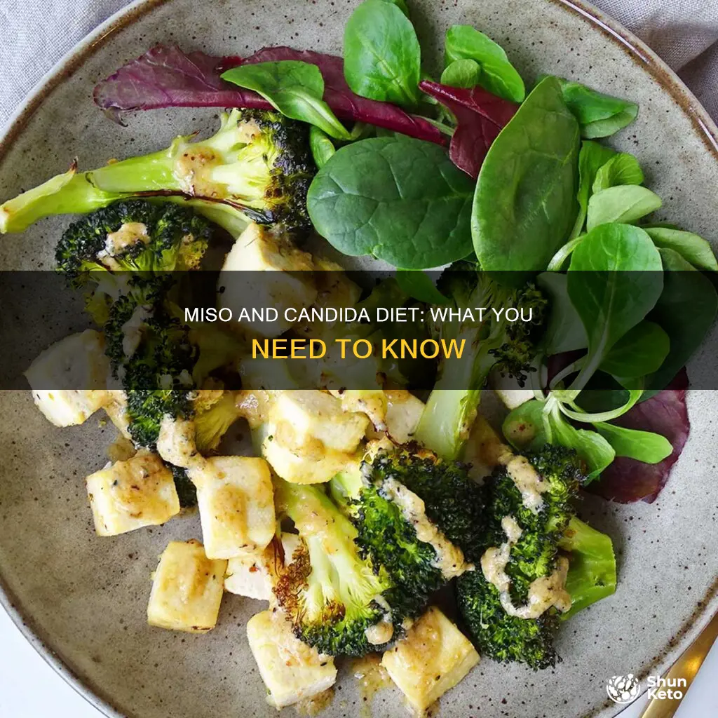 is miso ok for candida diet