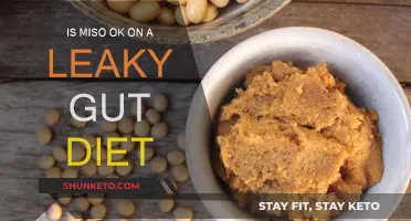 Healing Leaky Gut: Is Miso Your Friend or Foe?