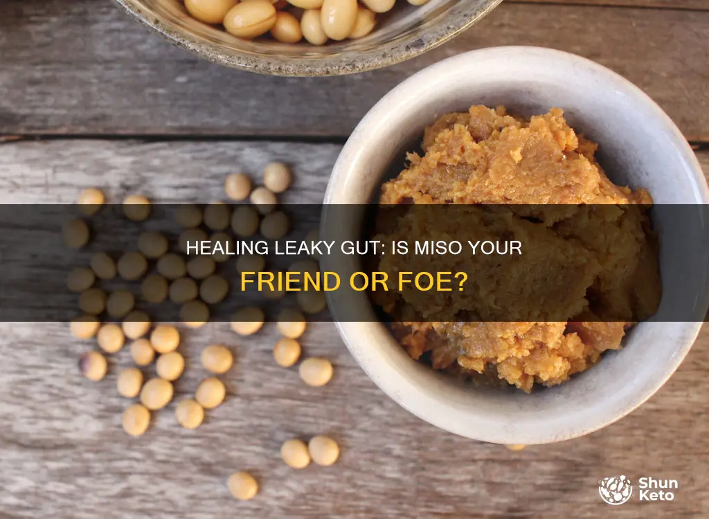is miso ok on a leaky gut diet