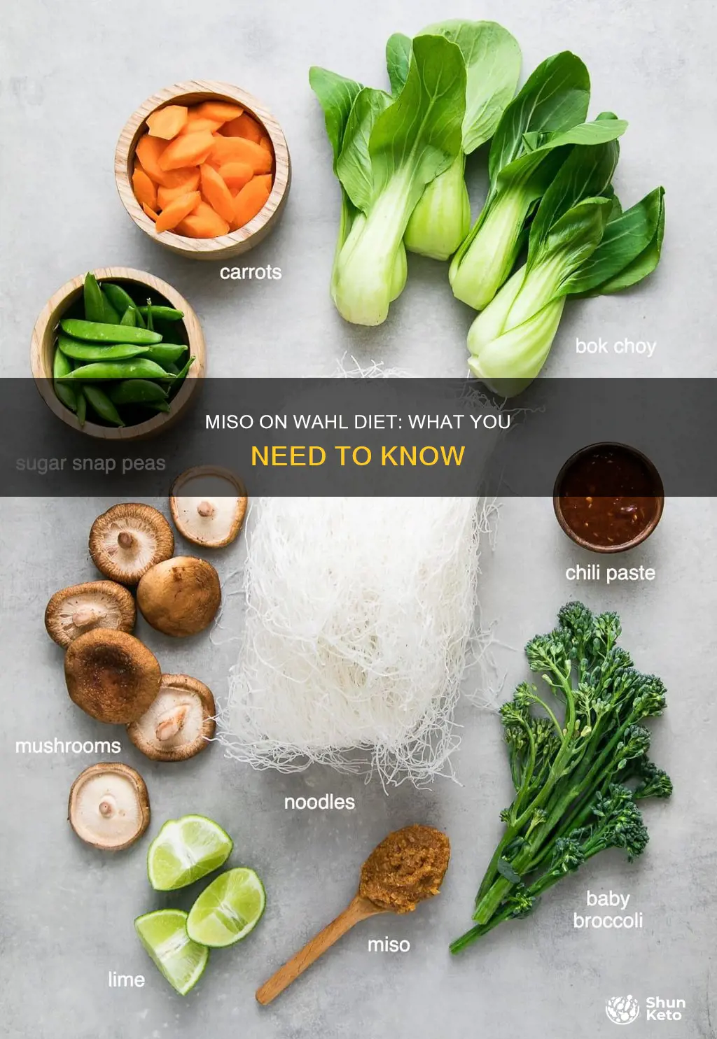is miso ok on the wahl diet