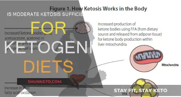Ketogenic Diets: Is Moderate Ketosis the Sweet Spot?