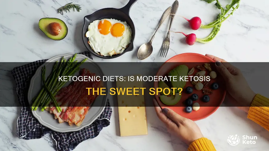 is moderate ketosis sufficient for ketogenic diets