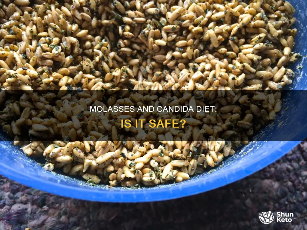 is molasses ok on candida diet