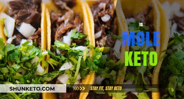 Is Mole Keto-Friendly? Exploring the Sauce's Low-Carb Potential