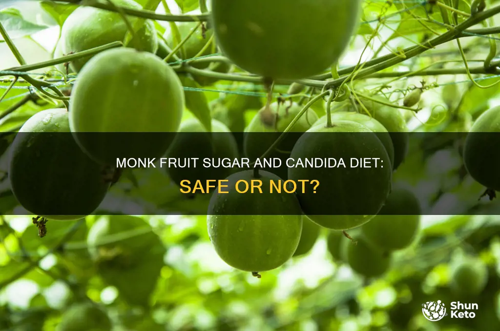 is monk fruit sugar ok for candida diet