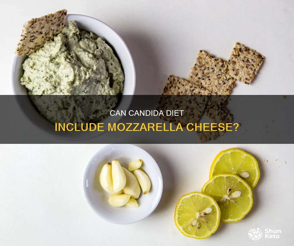 is mozzarella cheese ok on candida diet