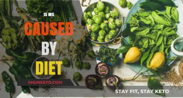 Diet and MS: Is There a Link?