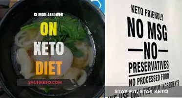 Is MSG Keto-Friendly? Unraveling the Truth About MSG on Keto
