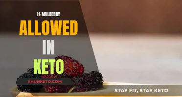 Can Mulberry Fit in Your Keto Diet?