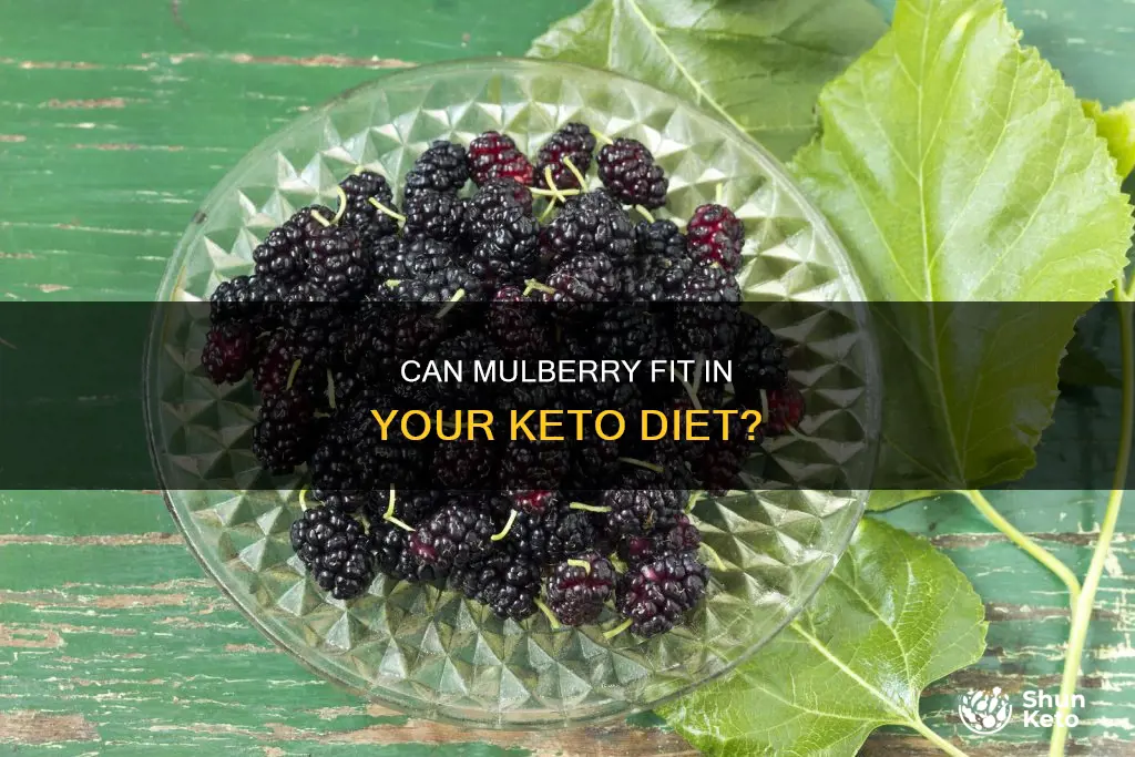 is mulberry allowed in keto