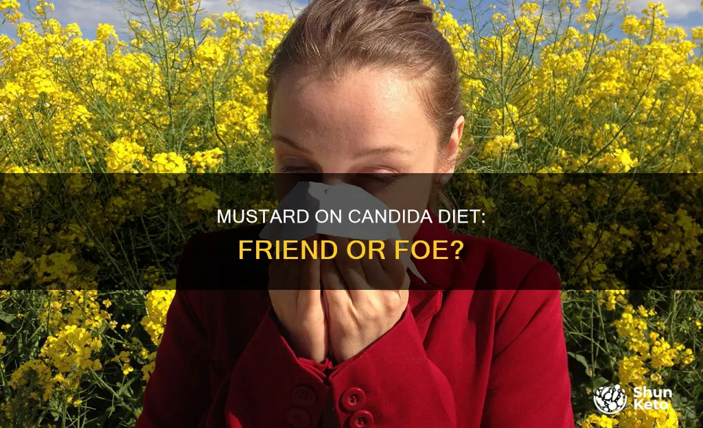 is mustard allowed on candida diet
