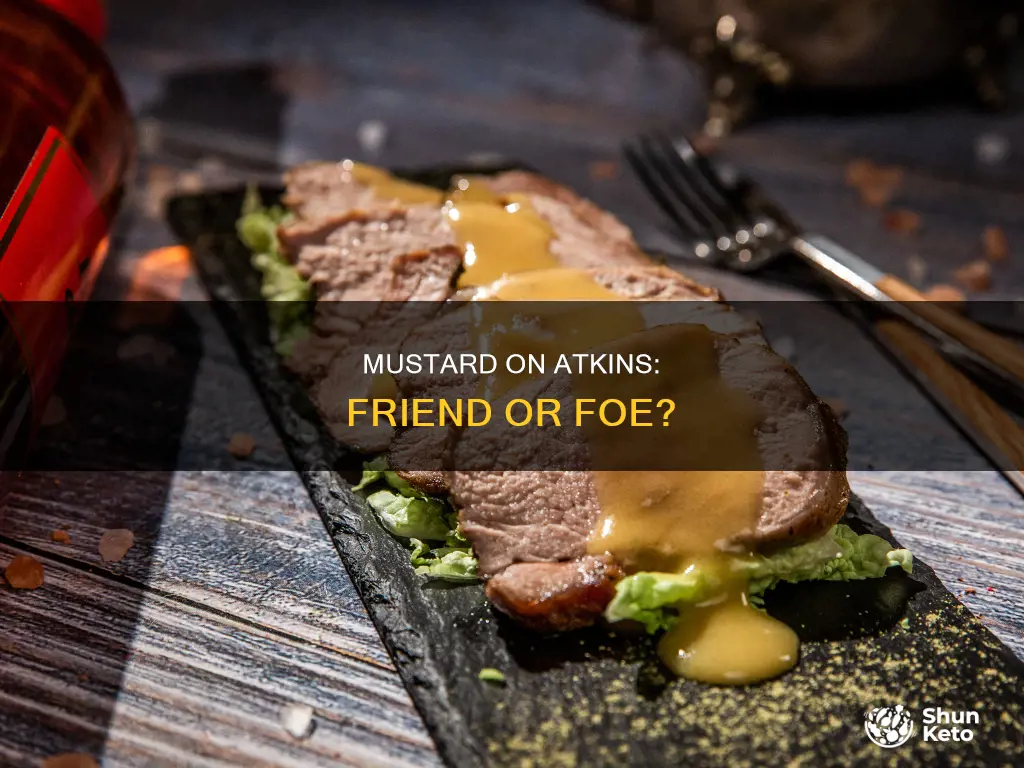 is mustard ok on atkins diet