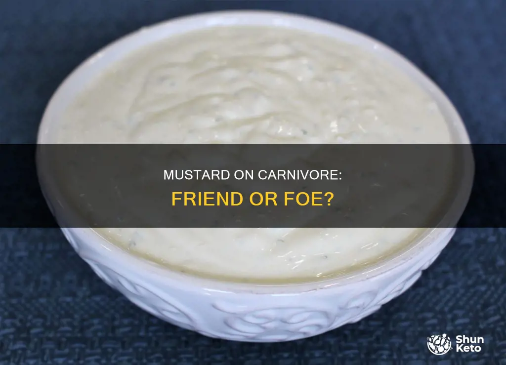 is mustard ok on carnivore diet