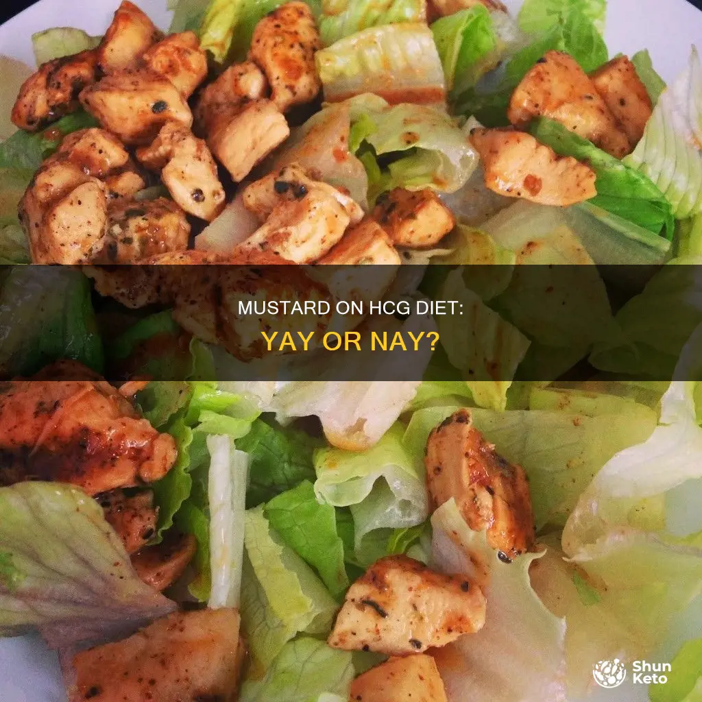 is mustard ok on hcg diet