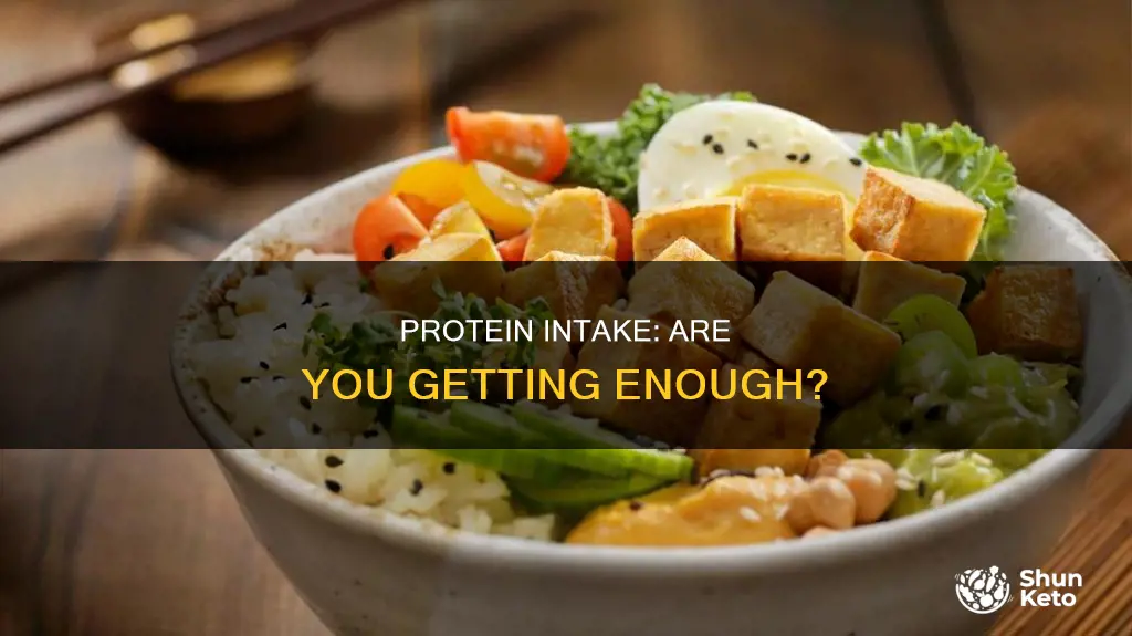 is my diet sufficient to meet my protein needs