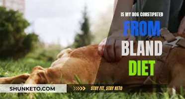 How a Bland Diet Can Cause Constipation in Dogs