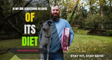 Dog Scratching: Is Diet the Cause?