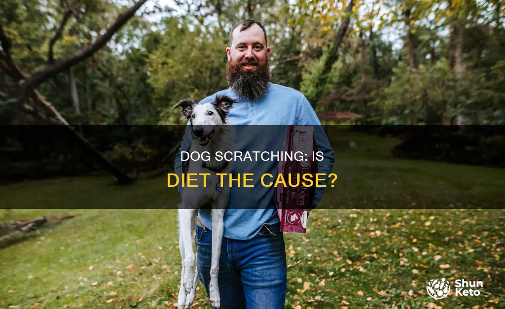 is my dog scratching because of its diet
