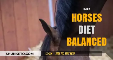 Horse Diet: Balanced or Not?