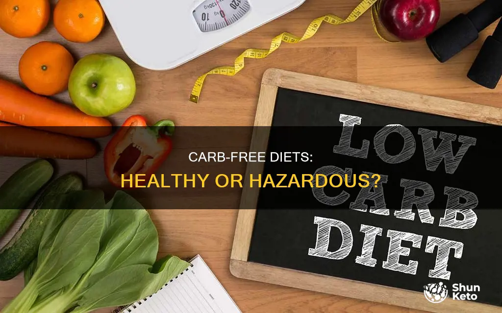is no carb diet healty